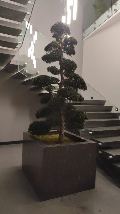 YG Merkez Ofis Binası